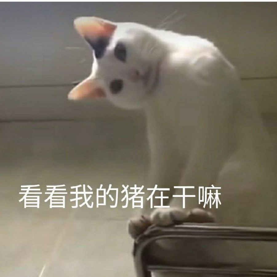 顾苏瑾