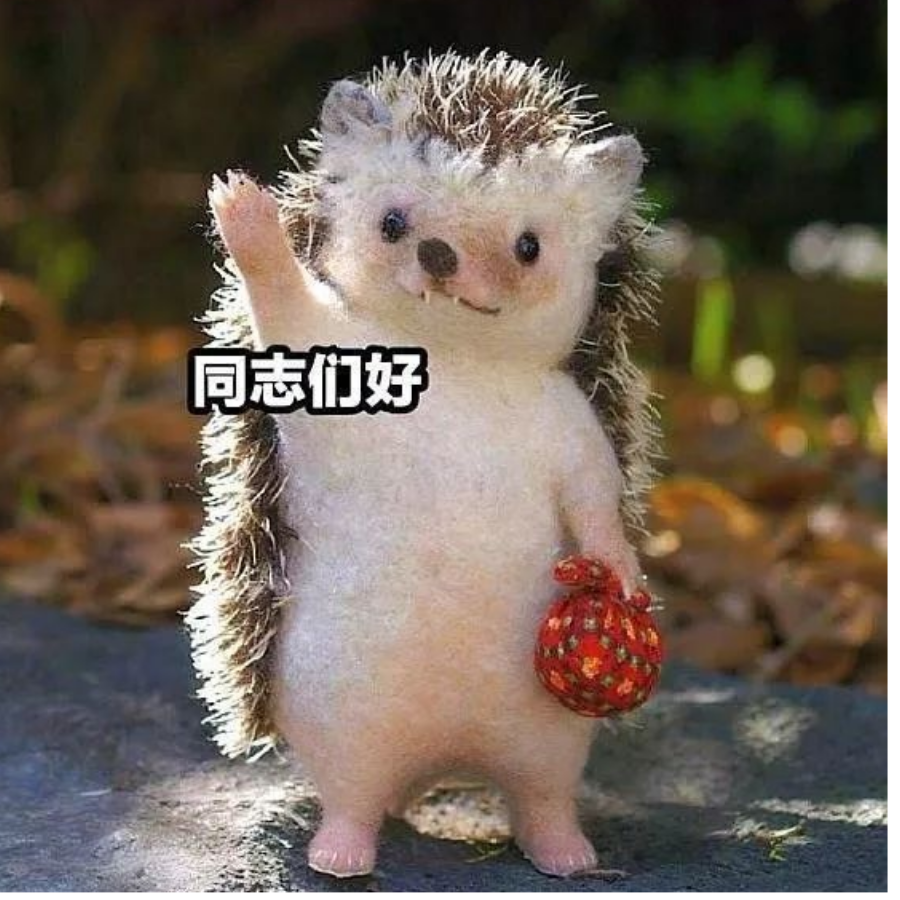 伊伊