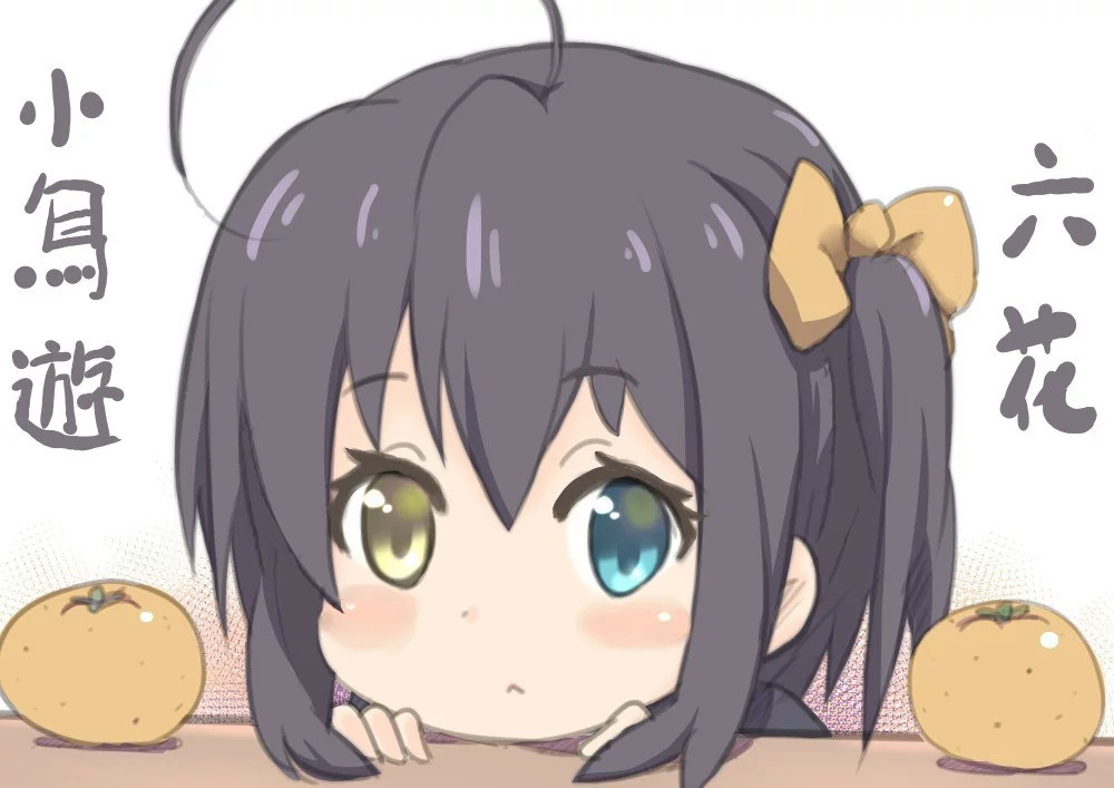 我想养只哈士奇