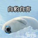 初善