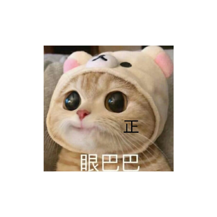 小白