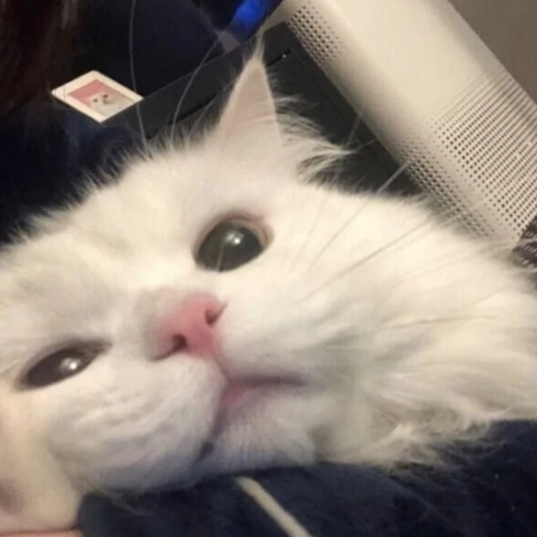 .