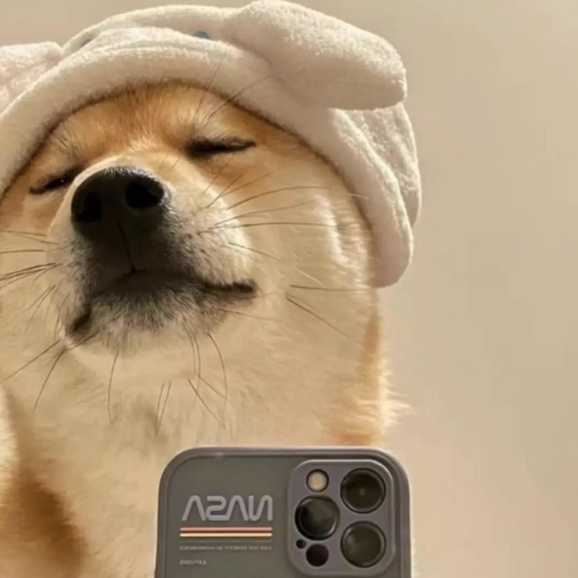 问水轻寒