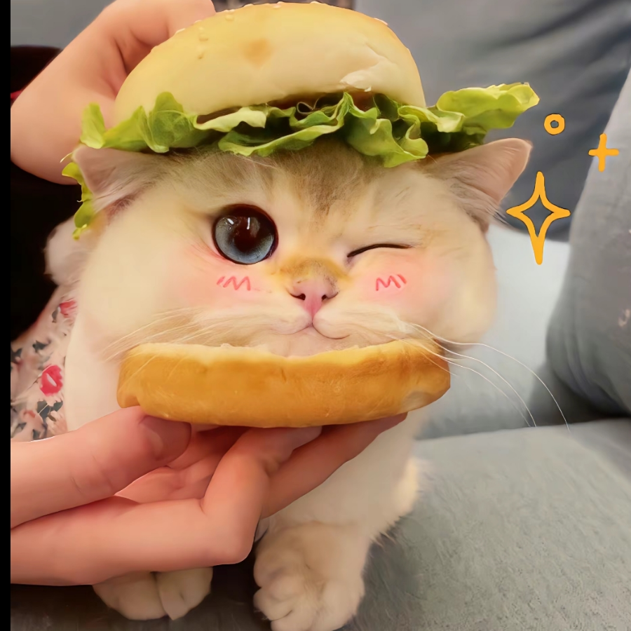 窝是大表哥