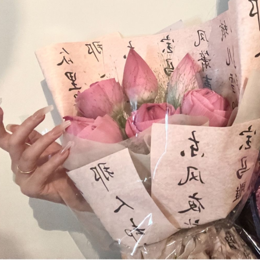 蛋仔