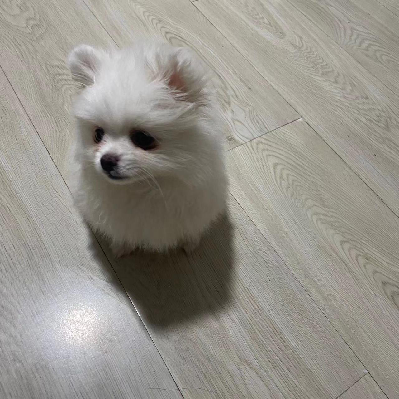 小丛丛最有爱了