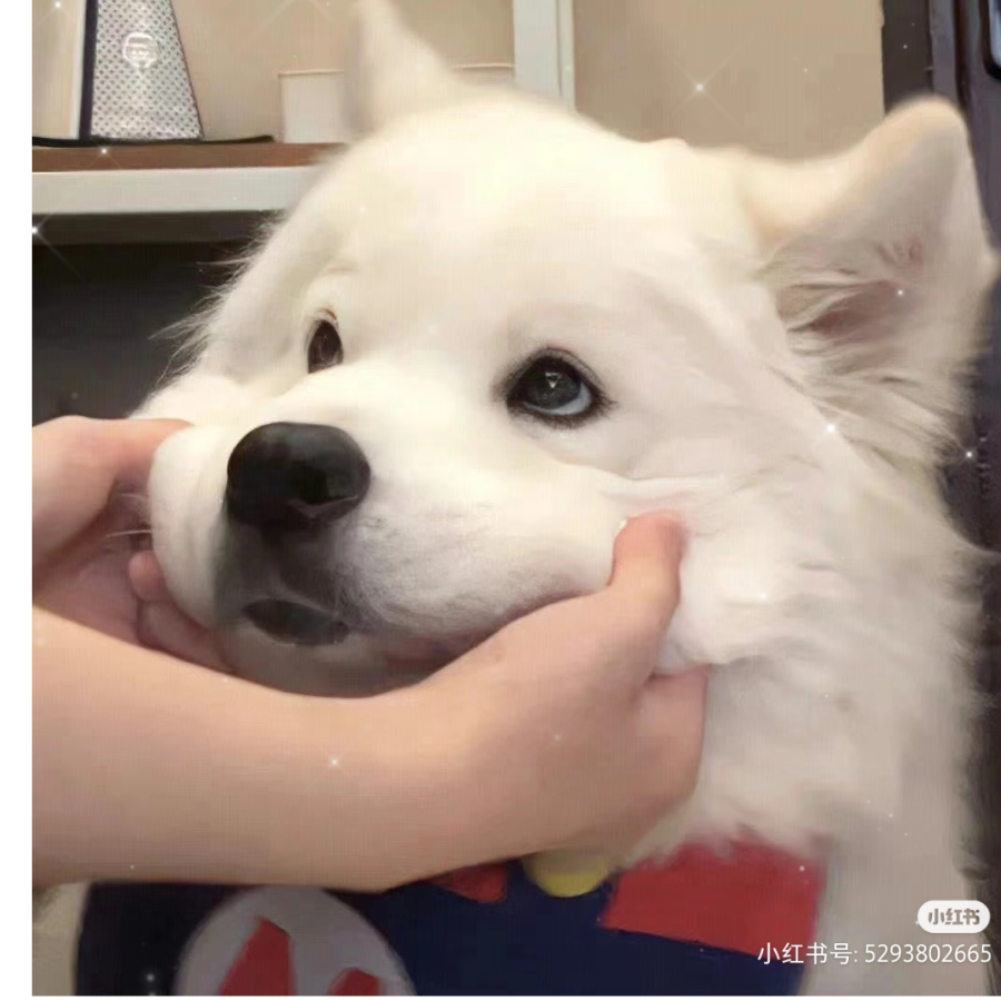 十月晚风ღ