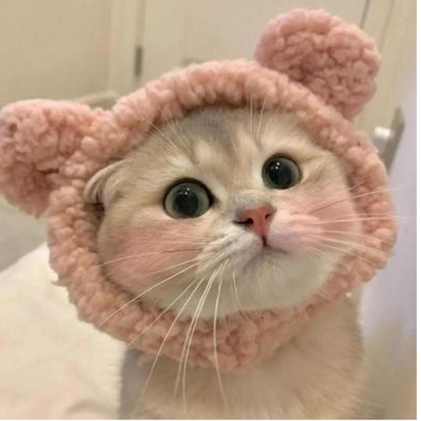 疯子
