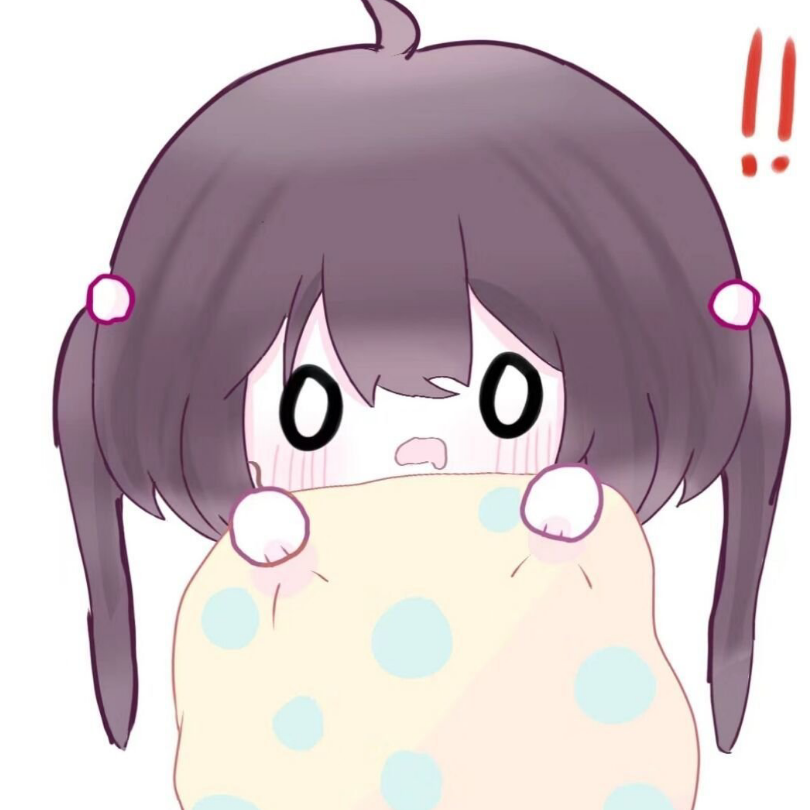 梦婷大王