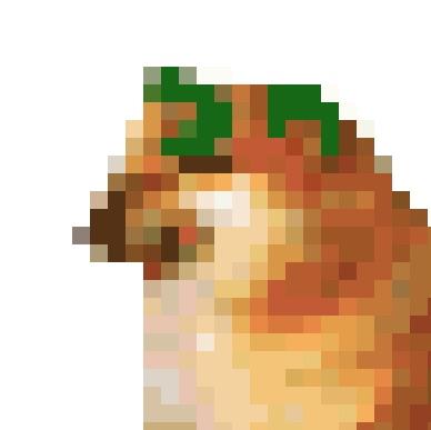 JungleRwG
