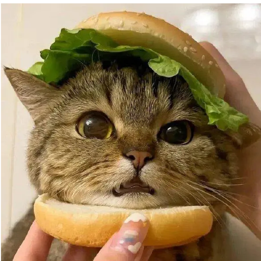 菠萝酱