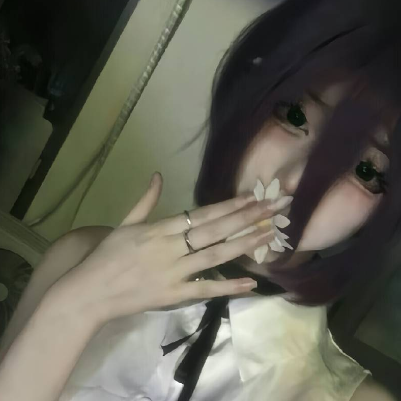 两面包夹芝士