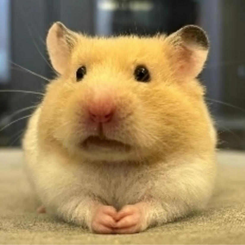 大角牛