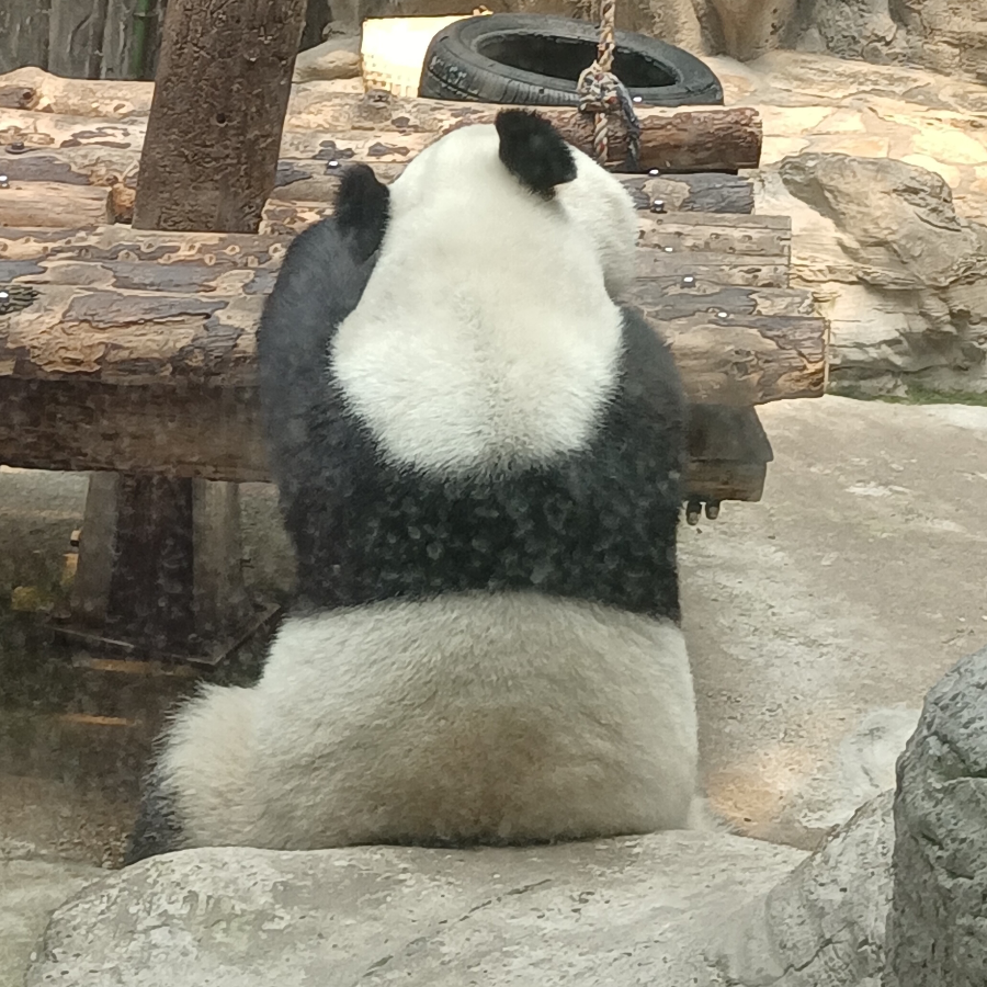 禾泽
