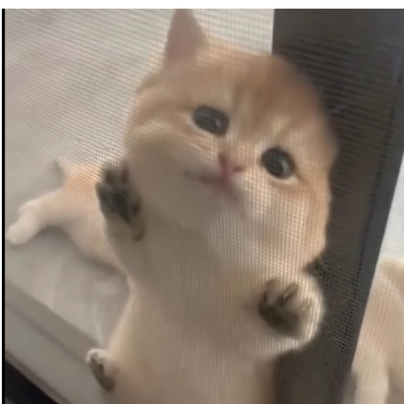 是小辉辉呀