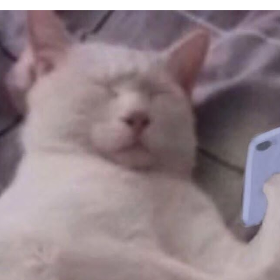 因缺思挺