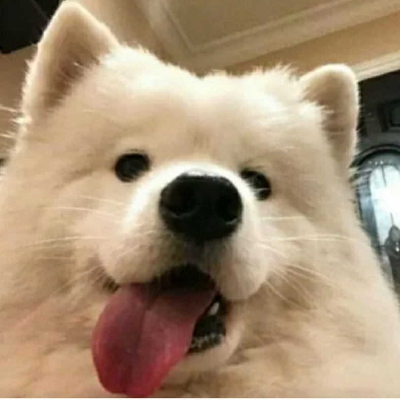 鹿子壹