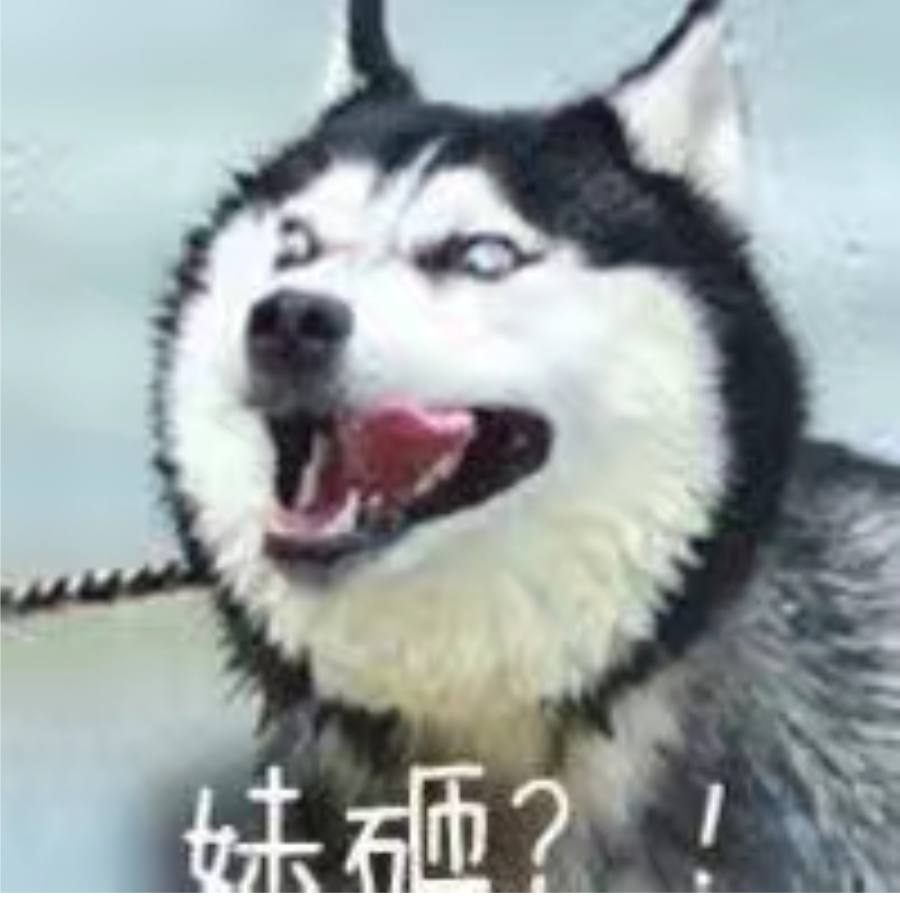 风动