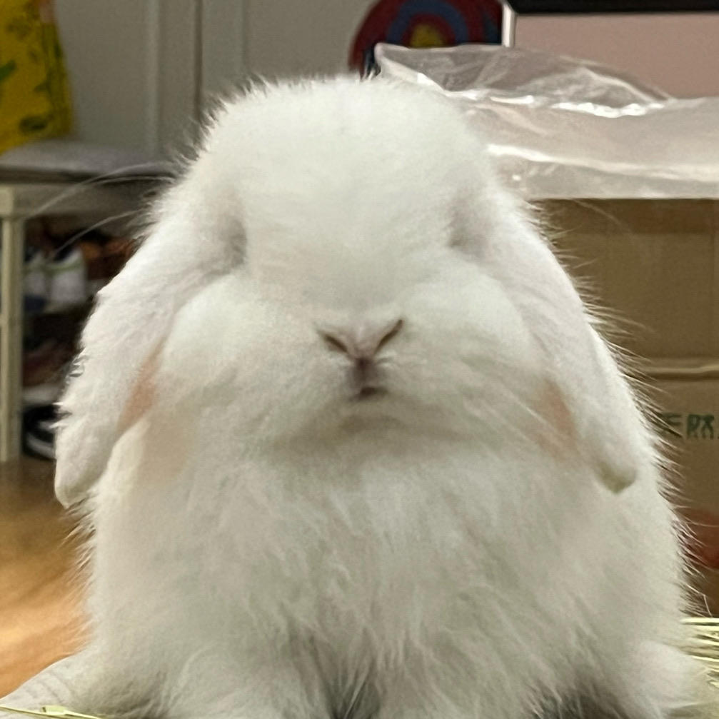这不脆皮鸡吗