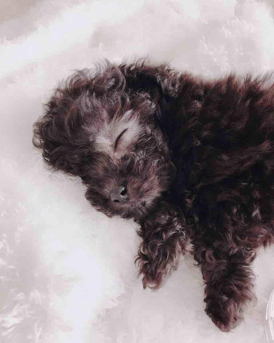 Sweetaeng