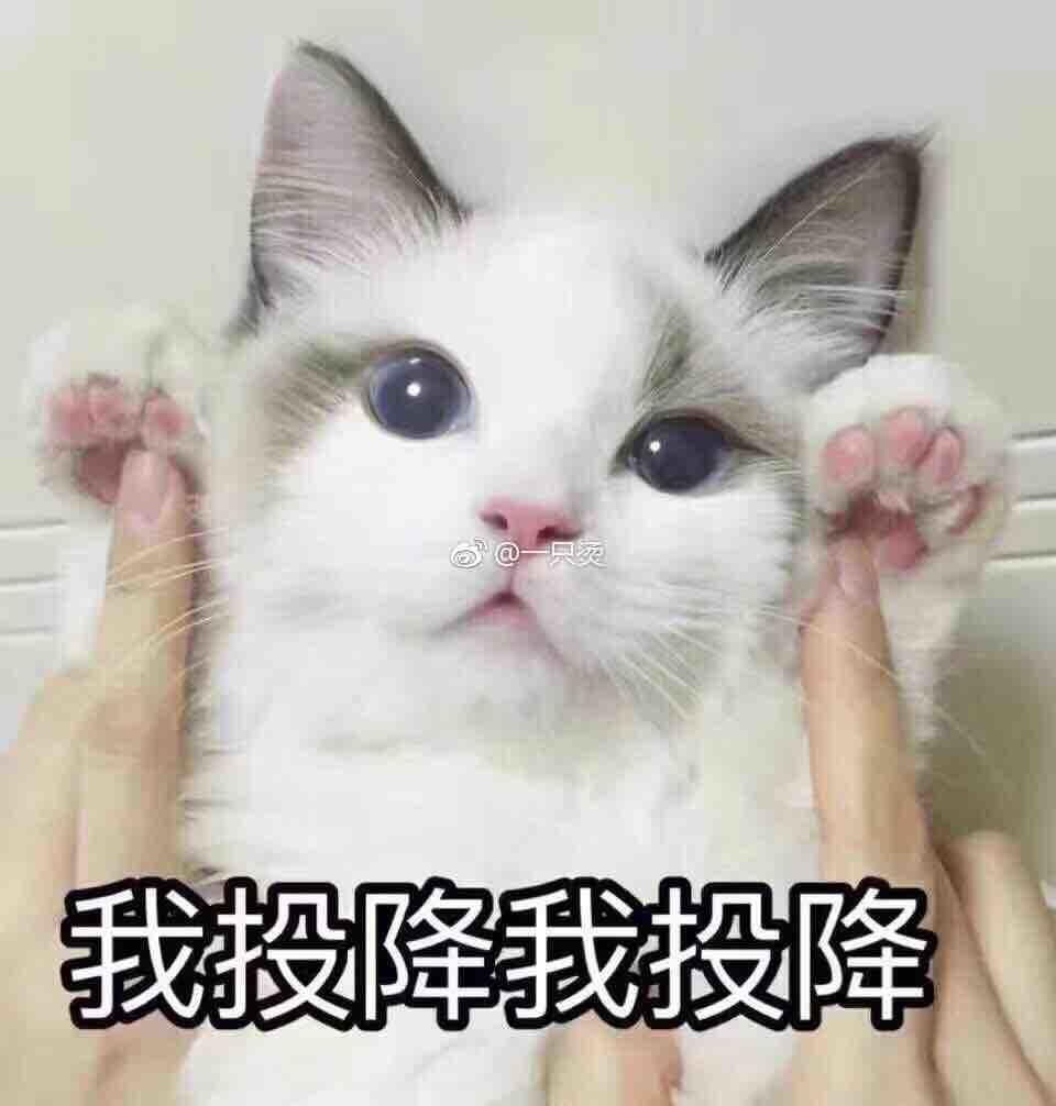 遂启