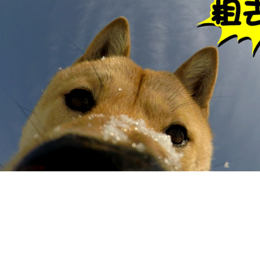 手机用户16137466