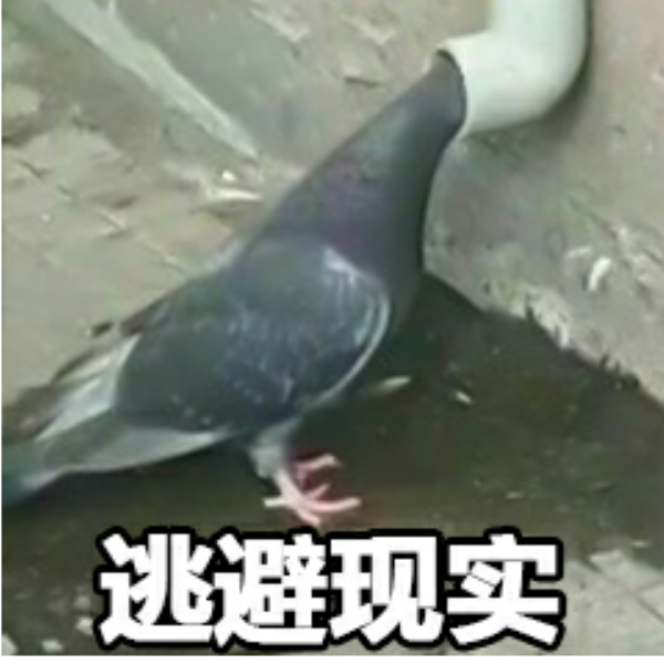 我在干嘛