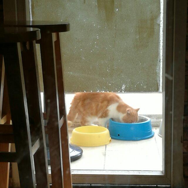 piiiiiiry