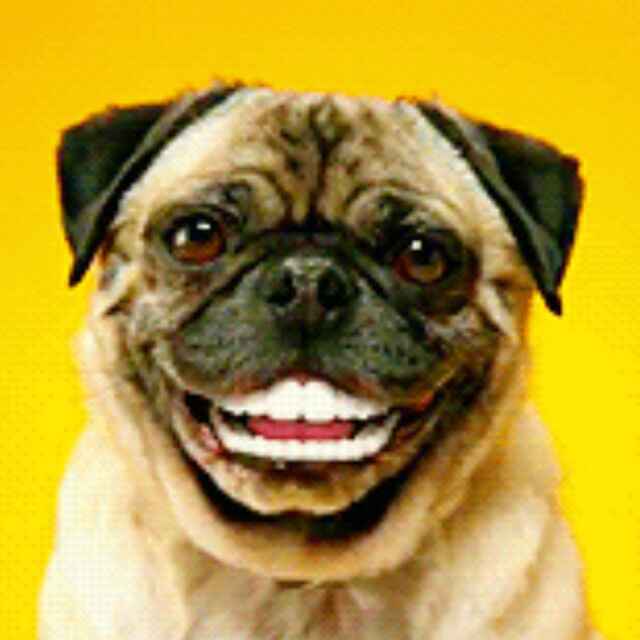 SMILE