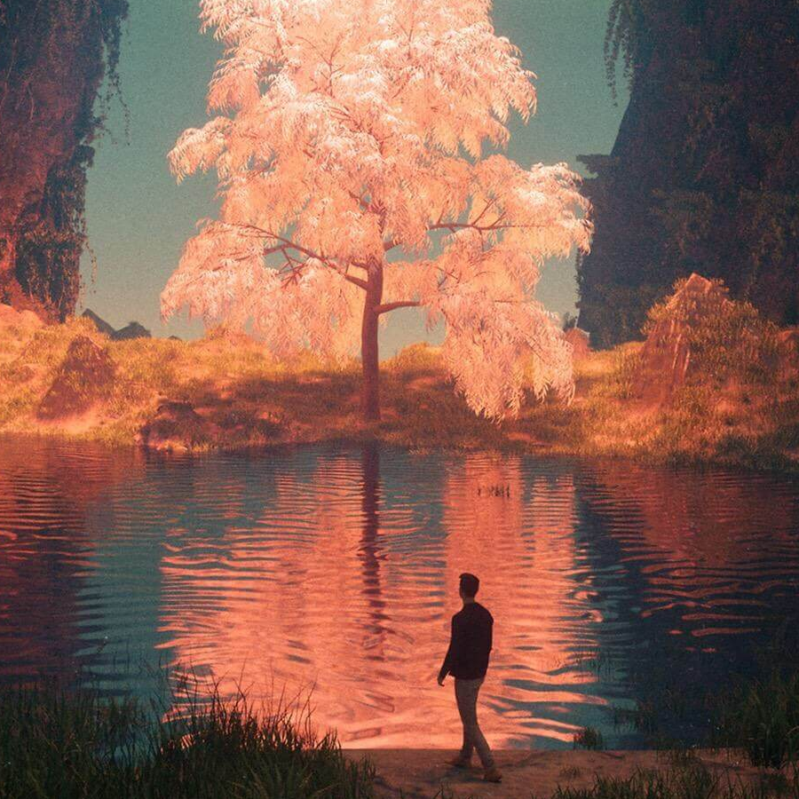 W.Wuyi