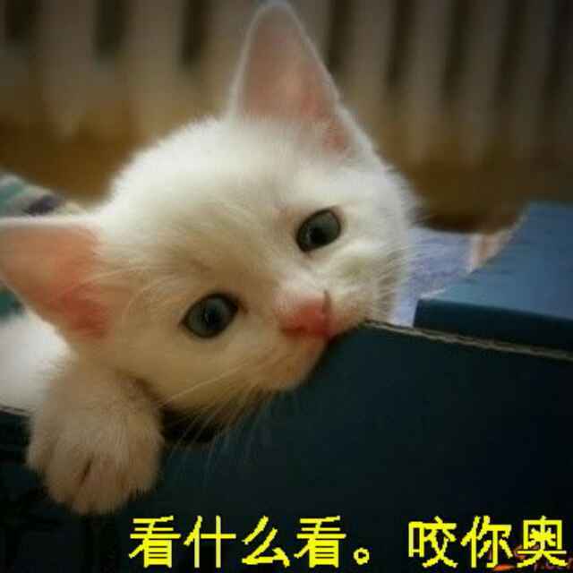 年华逝矣
