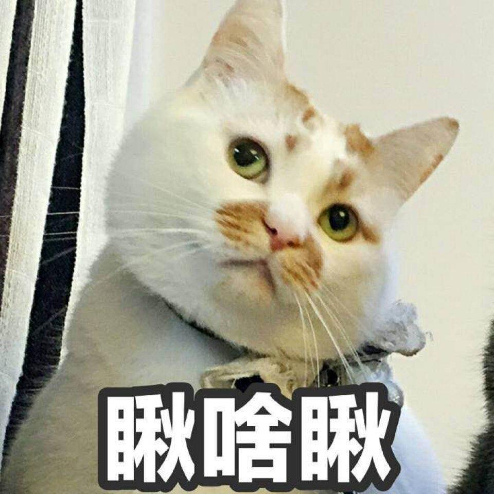 陈玖