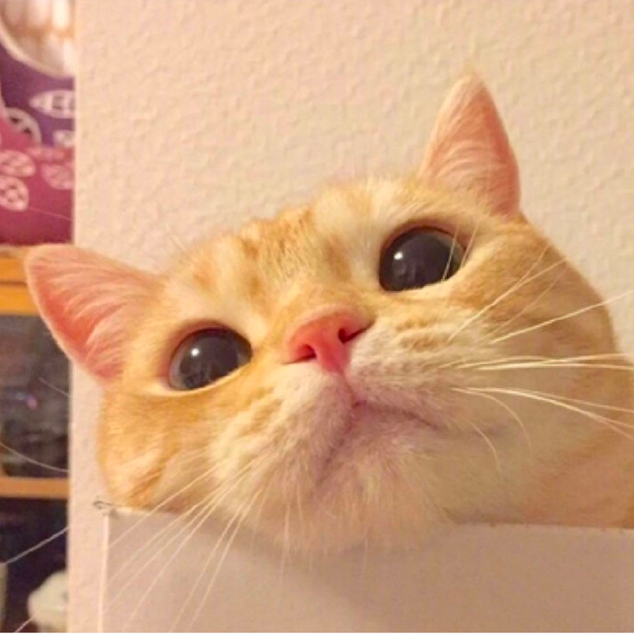 Joy千～