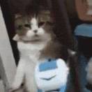 。。。。。