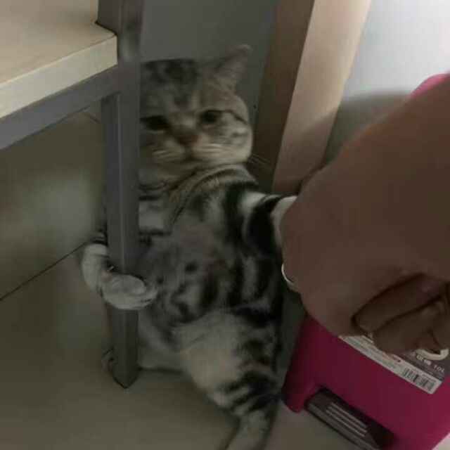 嗯