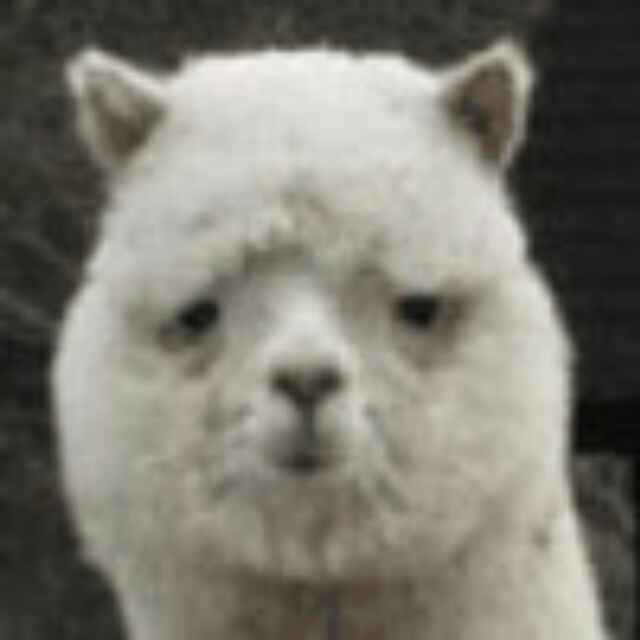 南明离火