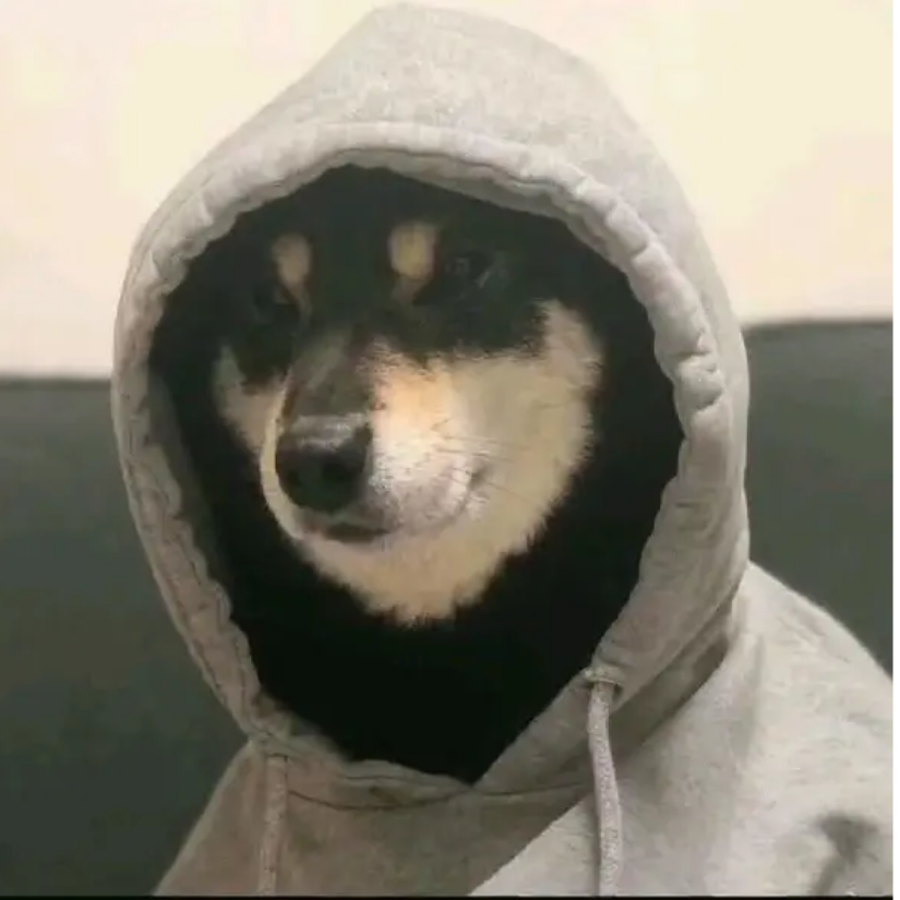 公仔丶