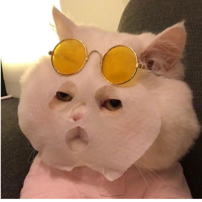 又菜又爱玩的战五渣