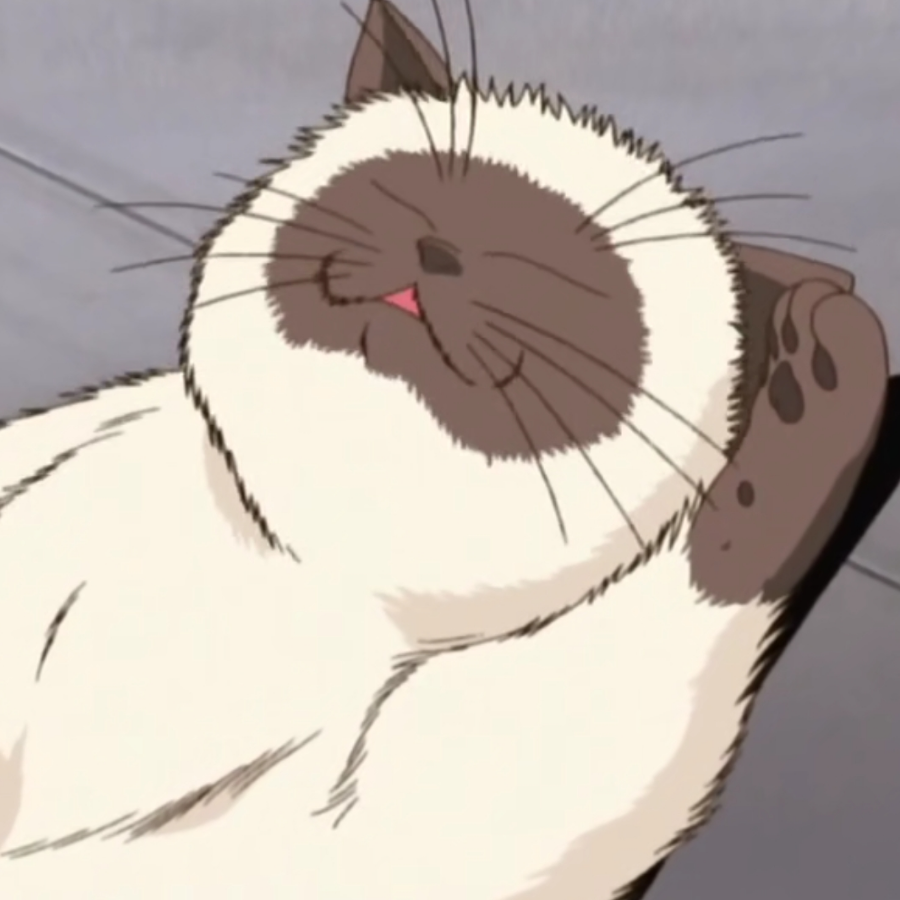 苏三今天不在家