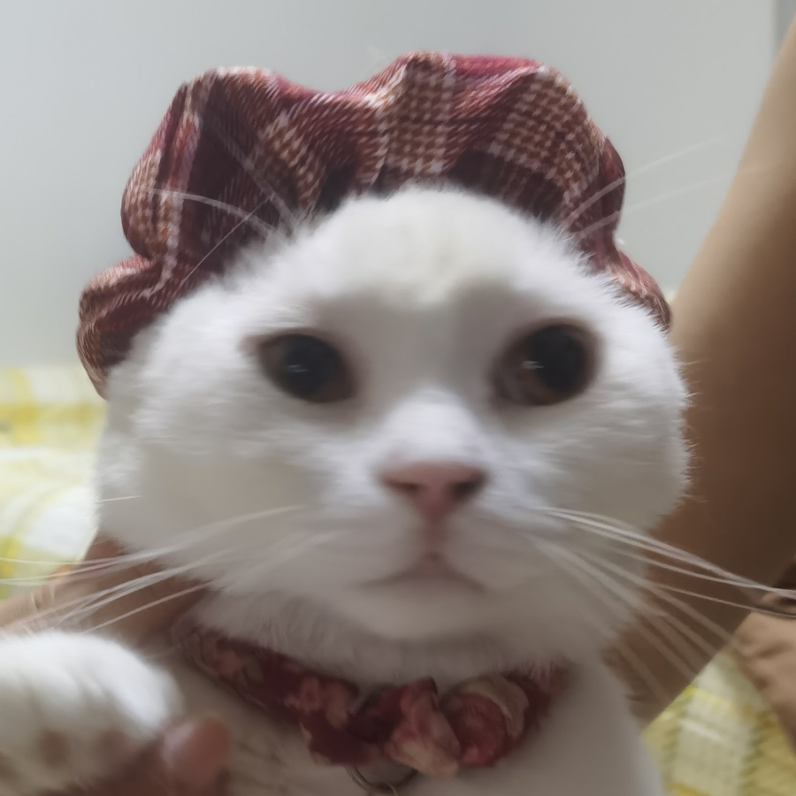 眼保健操