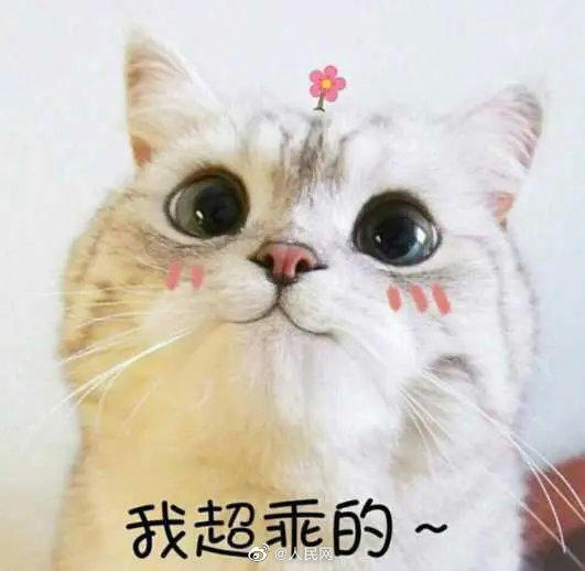清乐_