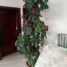 User26157524