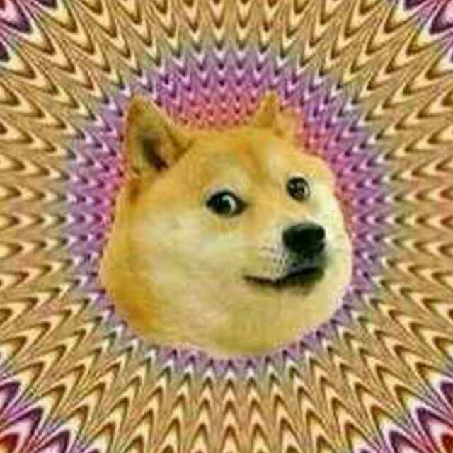 doge！