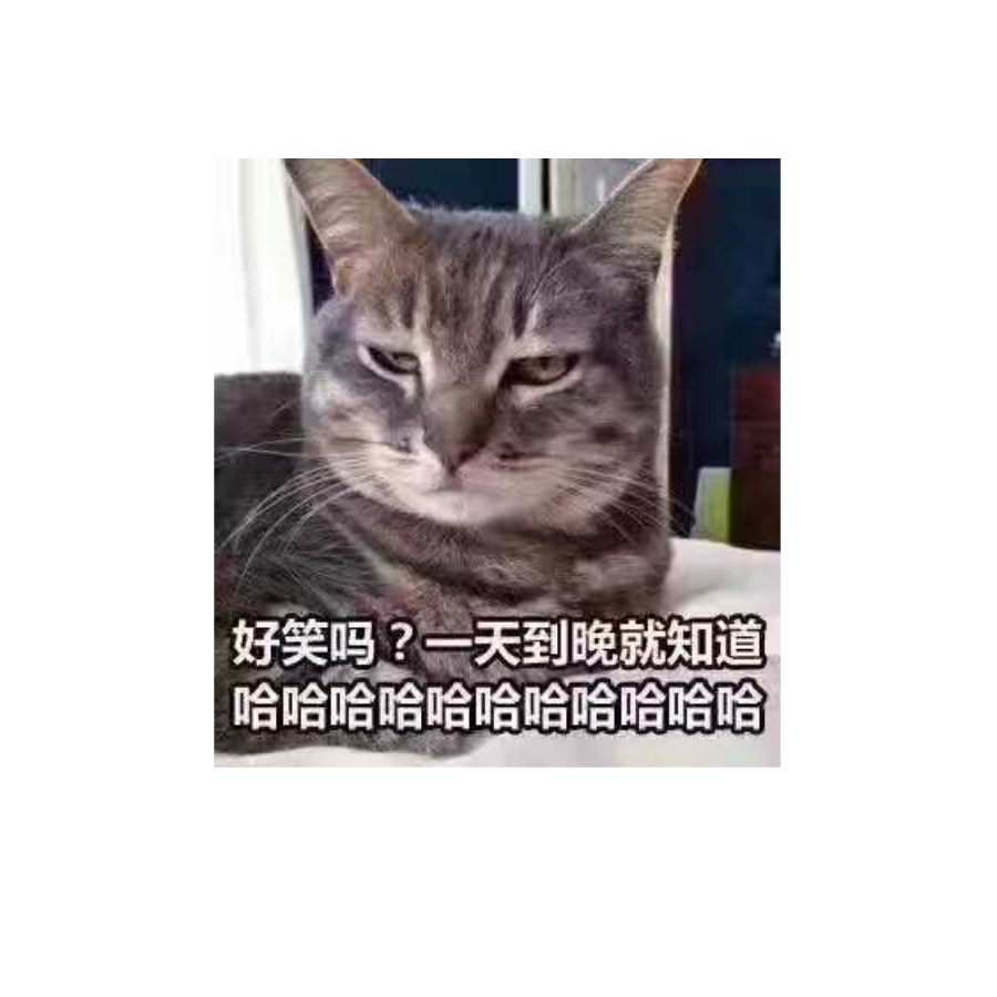 纯洁小可爱