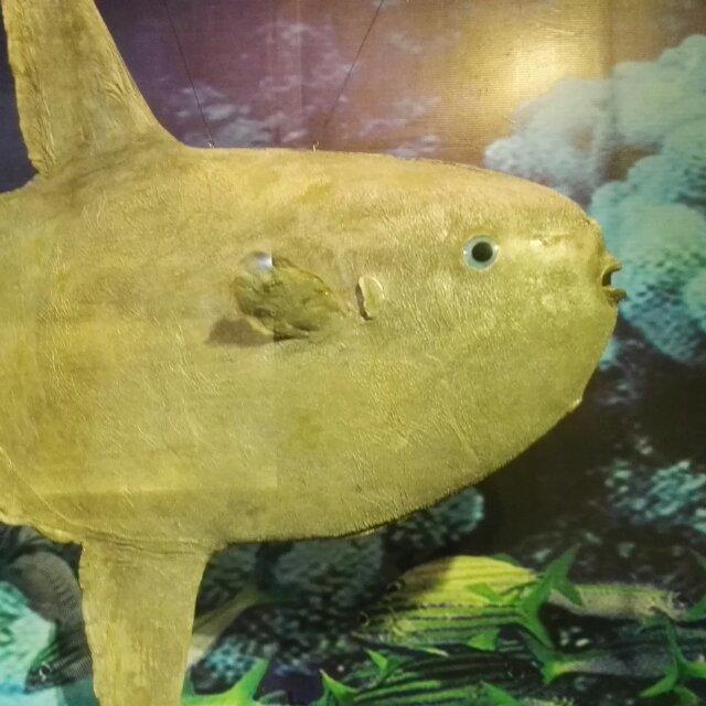 小汤