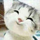 逐月小浩