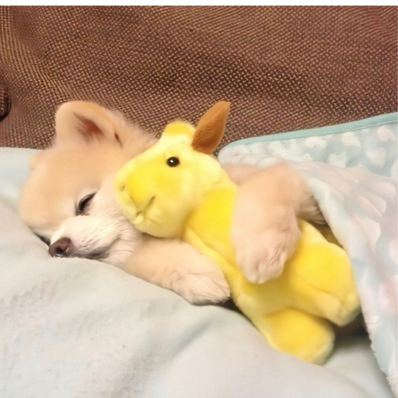佑树