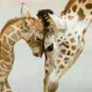 愿你被世界温柔以待