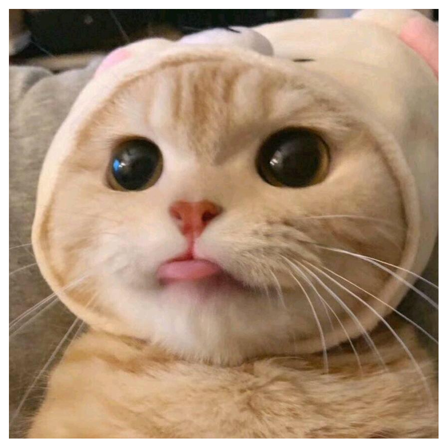 别过来啊