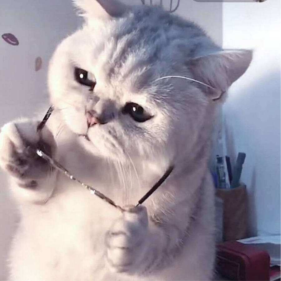 →_→